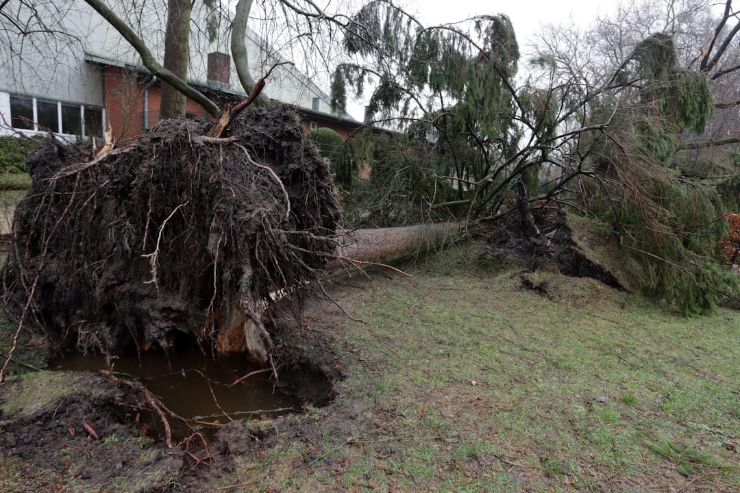 how to repair storm damage to your home
